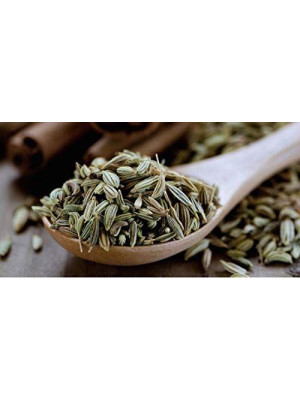 TRS Soonf Fennel Seeds 100g